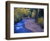 San Miguel River and Aspens in Autumn, Colorado, USA-Julie Eggers-Framed Photographic Print