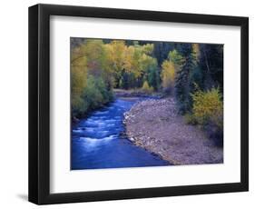 San Miguel River and Aspens in Autumn, Colorado, USA-Julie Eggers-Framed Photographic Print