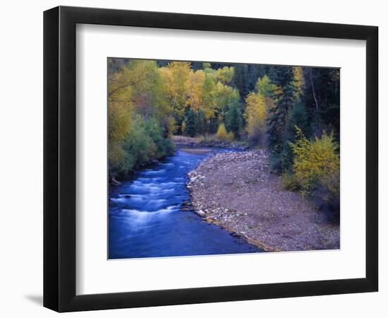 San Miguel River and Aspens in Autumn, Colorado, USA-Julie Eggers-Framed Photographic Print