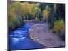San Miguel River and Aspens in Autumn, Colorado, USA-Julie Eggers-Mounted Photographic Print
