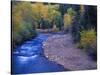 San Miguel River and Aspens in Autumn, Colorado, USA-Julie Eggers-Stretched Canvas