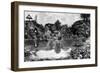 San Miguel, Tenerife, Canary Islands, Spain, 1985-null-Framed Giclee Print