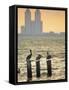 San Padre Island, Texas, United States of America, North America-Michael DeFreitas-Framed Stretched Canvas