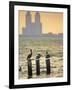 San Padre Island, Texas, United States of America, North America-Michael DeFreitas-Framed Photographic Print