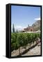 San Pedro De Yacochuya Winery in Cafayate, Salta Province, Argentina, South America-Yadid Levy-Framed Stretched Canvas