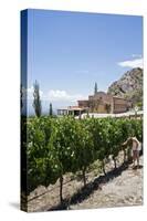 San Pedro De Yacochuya Winery in Cafayate, Salta Province, Argentina, South America-Yadid Levy-Stretched Canvas