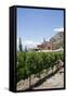 San Pedro De Yacochuya Winery in Cafayate, Salta Province, Argentina, South America-Yadid Levy-Framed Stretched Canvas