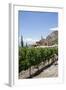 San Pedro De Yacochuya Winery in Cafayate, Salta Province, Argentina, South America-Yadid Levy-Framed Photographic Print