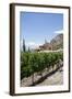 San Pedro De Yacochuya Winery in Cafayate, Salta Province, Argentina, South America-Yadid Levy-Framed Photographic Print