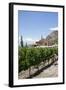 San Pedro De Yacochuya Winery in Cafayate, Salta Province, Argentina, South America-Yadid Levy-Framed Photographic Print