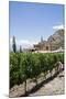 San Pedro De Yacochuya Winery in Cafayate, Salta Province, Argentina, South America-Yadid Levy-Mounted Photographic Print