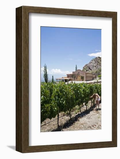 San Pedro De Yacochuya Winery in Cafayate, Salta Province, Argentina, South America-Yadid Levy-Framed Photographic Print