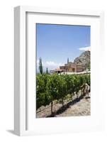 San Pedro De Yacochuya Winery in Cafayate, Salta Province, Argentina, South America-Yadid Levy-Framed Photographic Print