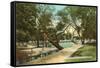 San Pedro Park, San Antonio, Texas-null-Framed Stretched Canvas