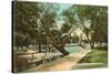 San Pedro Park, San Antonio, Texas-null-Stretched Canvas