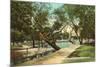 San Pedro Park, San Antonio, Texas-null-Mounted Premium Giclee Print