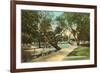 San Pedro Park, San Antonio, Texas-null-Framed Art Print