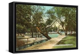San Pedro Park, San Antonio, Texas-null-Framed Stretched Canvas