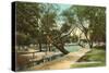 San Pedro Park, San Antonio, Texas-null-Stretched Canvas