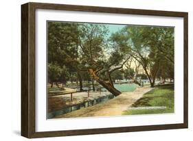 San Pedro Park, San Antonio, Texas-null-Framed Art Print