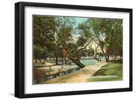 San Pedro Park, San Antonio, Texas-null-Framed Art Print