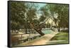 San Pedro Park, San Antonio, Texas-null-Framed Stretched Canvas