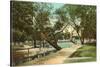 San Pedro Park, San Antonio, Texas-null-Stretched Canvas