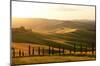 San Quirico D'Orcia Italy Dusk-null-Mounted Art Print