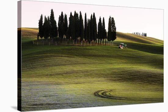 San Quirico D'Orcia, Orcia Valley, Tuscany, Italy-ClickAlps-Stretched Canvas