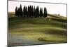 San Quirico D'Orcia, Orcia Valley, Tuscany, Italy-ClickAlps-Mounted Photographic Print