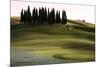 San Quirico D'Orcia, Orcia Valley, Tuscany, Italy-ClickAlps-Mounted Photographic Print