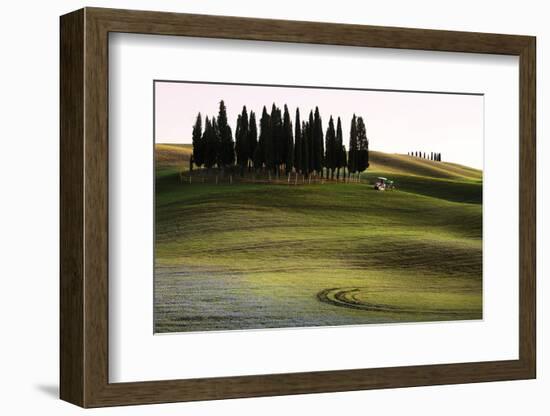 San Quirico D'Orcia, Orcia Valley, Tuscany, Italy-ClickAlps-Framed Photographic Print