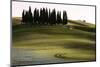 San Quirico D'Orcia, Orcia Valley, Tuscany, Italy-ClickAlps-Mounted Photographic Print