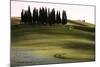 San Quirico D'Orcia, Orcia Valley, Tuscany, Italy-ClickAlps-Mounted Photographic Print