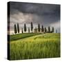 San Quirico D'Orcia, Tuscany, Italy. Farmhouse at Sunset.-ClickAlps-Stretched Canvas