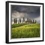 San Quirico D'Orcia, Tuscany, Italy. Farmhouse at Sunset.-ClickAlps-Framed Photographic Print