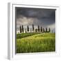 San Quirico D'Orcia, Tuscany, Italy. Farmhouse at Sunset.-ClickAlps-Framed Photographic Print