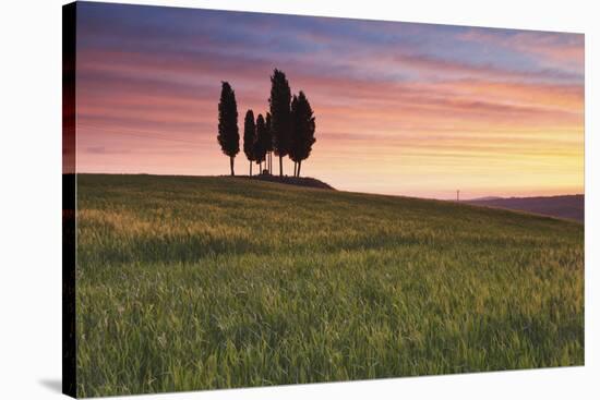 San Quirico, Orcia Valley, Tuscany, Italy. Cypresses at Sunrise-ClickAlps-Stretched Canvas