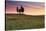 San Quirico, Orcia Valley, Tuscany, Italy. Cypresses at Sunrise-ClickAlps-Stretched Canvas