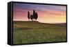 San Quirico, Orcia Valley, Tuscany, Italy. Cypresses at Sunrise-ClickAlps-Framed Stretched Canvas