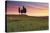 San Quirico, Orcia Valley, Tuscany, Italy. Cypresses at Sunrise-ClickAlps-Stretched Canvas