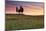 San Quirico, Orcia Valley, Tuscany, Italy. Cypresses at Sunrise-ClickAlps-Mounted Photographic Print