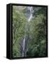 San Ramon Waterfall, Ometepe Island, Nicaragua, Central America-G Richardson-Framed Stretched Canvas