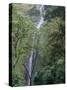 San Ramon Waterfall, Ometepe Island, Nicaragua, Central America-G Richardson-Stretched Canvas