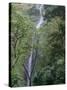 San Ramon Waterfall, Ometepe Island, Nicaragua, Central America-G Richardson-Stretched Canvas