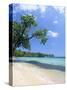 San San Beach, Port Antonio, Jamaica, West Indies, Central America-Sergio Pitamitz-Stretched Canvas