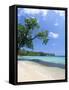 San San Beach, Port Antonio, Jamaica, West Indies, Central America-Sergio Pitamitz-Framed Stretched Canvas