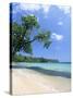 San San Beach, Port Antonio, Jamaica, West Indies, Central America-Sergio Pitamitz-Stretched Canvas