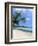 San San Beach, Port Antonio, Jamaica, West Indies, Central America-Sergio Pitamitz-Framed Photographic Print