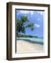 San San Beach, Port Antonio, Jamaica, West Indies, Central America-Sergio Pitamitz-Framed Photographic Print